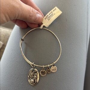 Alex and Ani Silver Adjustable Charm Bracelet